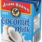 LAIT DE COCO 200ML AYAM