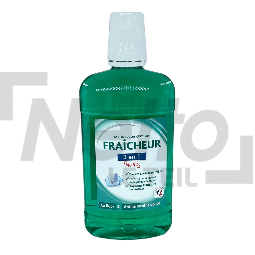 BAIN DE BOUCHE 3 EN 1 NETTO 500ML