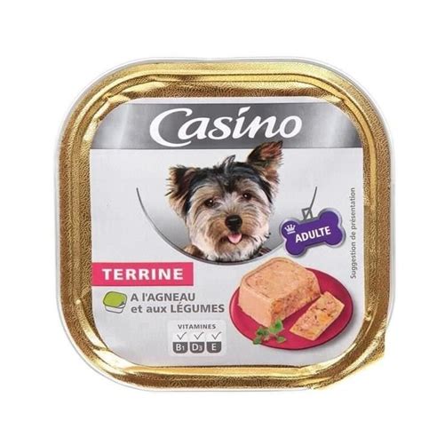 TERRINE CASINO