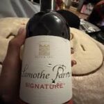 LAMOTHE PARROT SIGNATURE MEDIUM SWEET WINE ROUGE