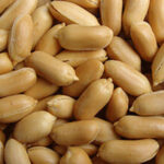 ARACHIDE FRITE NON SALEE - AICHA DELICE