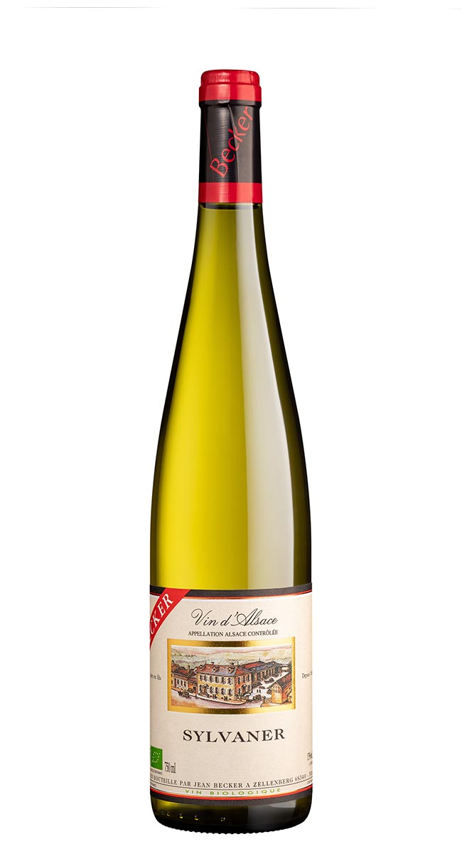 VIN D'ALSACE DUC & ALSACE SYLVANER