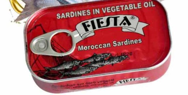 SARDINE FIESTA