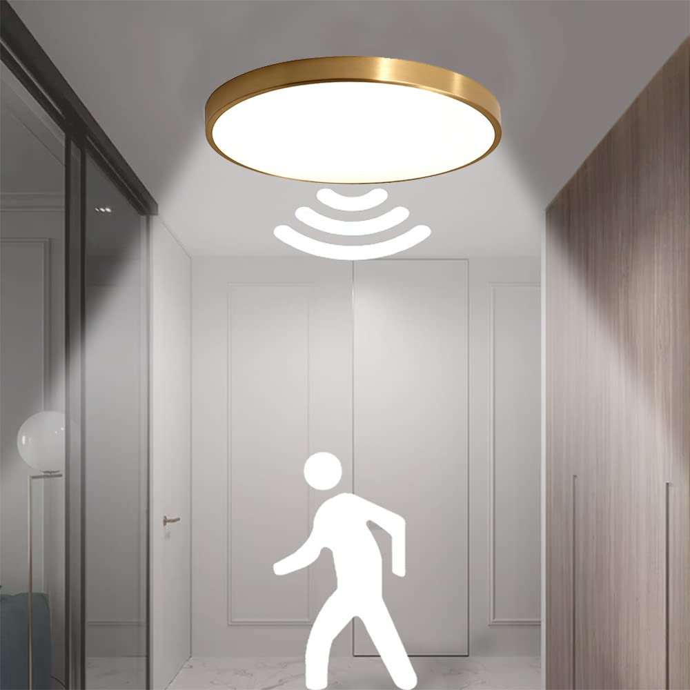LAMPES LED RONDE AVEC DETECTEUR DE MOUVEMENTS