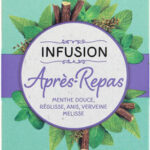INFUSION APRES-REPAS CASINO 40G