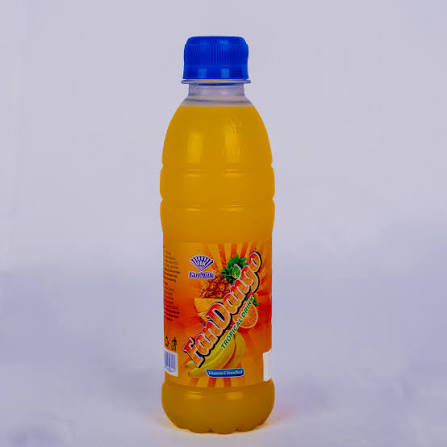 FANDANGO CITRUS DRINK 300ML