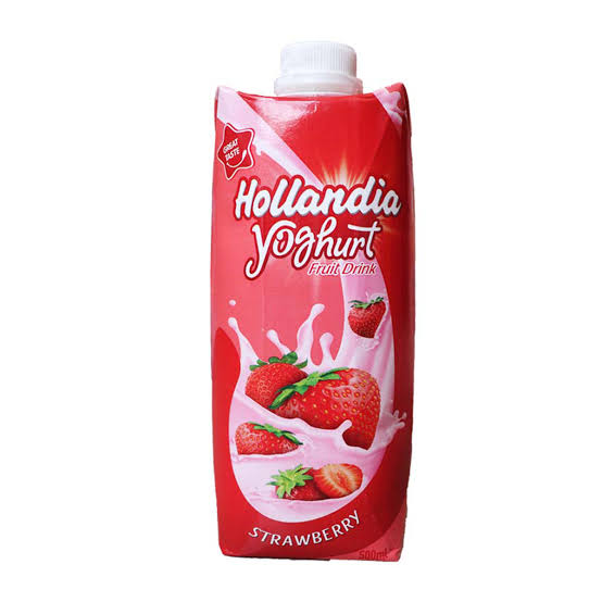 HOLLANDIA FRUIT DRINK 500ML
