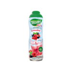 TEISSEIRE SIROP DE GRENADINE