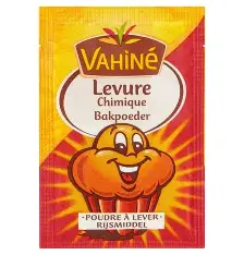 LEVURE CHIMIQUE POUDRE A LEVER 11G