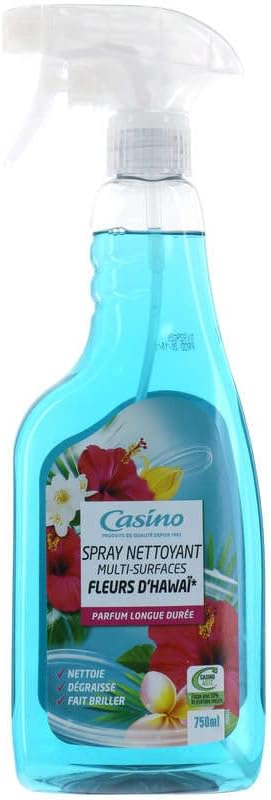 SPRAY NETTOYANT DESINFECTANT MULTI SURFACES 500ML CASINO