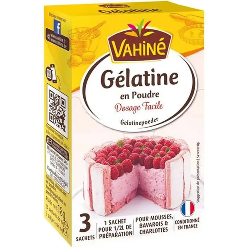 VAHINE GELATINE EN POUDRE