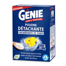 GENIE POUDRE DETACHANTE 480G