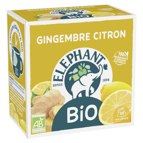 BIO GINGEMBRE CITRON