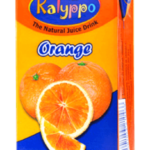 KALYPPO ORANGE 250ML
