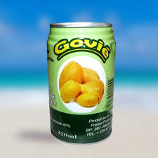 JUS GOVIE NECTAR DE MANGUE 320ML