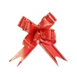 RUBAN PULL FLOWER RIBBON